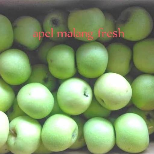 

NATURE- Apel Malang Fresh Per 1Kg