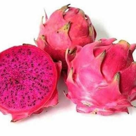 

NATURE- Buah Naga Fresh