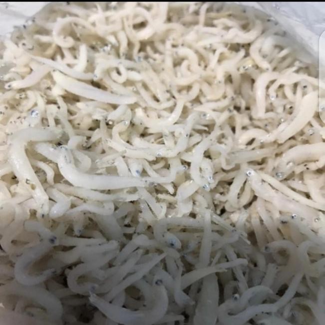 

Siap Kirim Teri Nasi Medan Putih Bersih Super - Renyah Cocok Sambal & Lauk