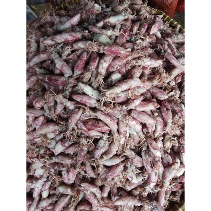 

Siap Kirim Cumi Baby Asin 1kg Shopee Makanan Laut Kering