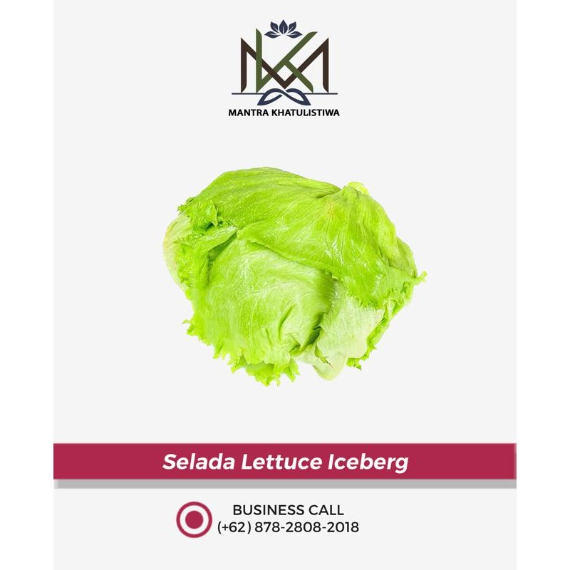 

LUXEHEALTH- Lettuce