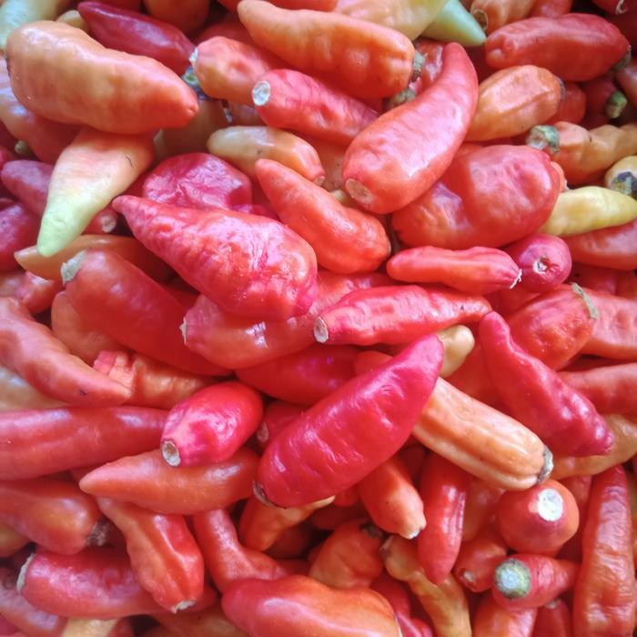 

LUXEHEALTH- Cabe Rawit Merah Petik 1 Kg