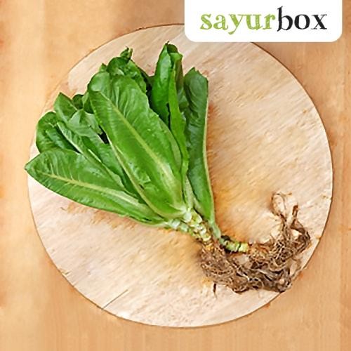 

LUXEHEALTH- Selada Romaine Conventional 1 Kg 1 Kg Sayurbox