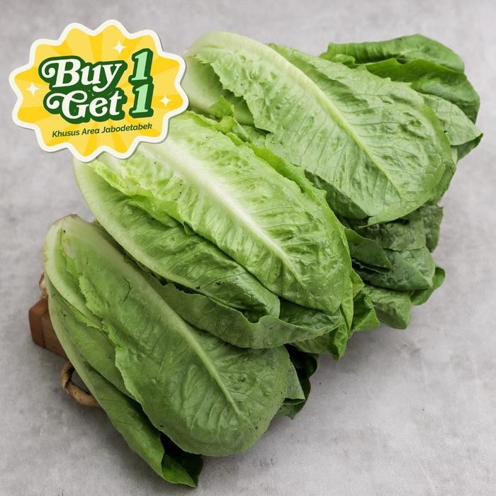 

LUXEHEALTH- Buy 1 Get 1 Selada Romaine Konvensional 1 Pack