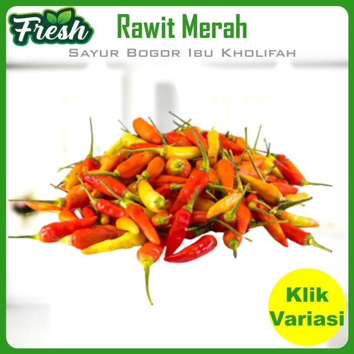 

LUXEHEALTH- Cabe Rawit Merah Cabai Rawit Setan Segar Bumbu Dapur Sayur Segar Bogor