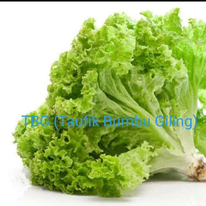 

LUXEHEALTH- Selada 250Gr