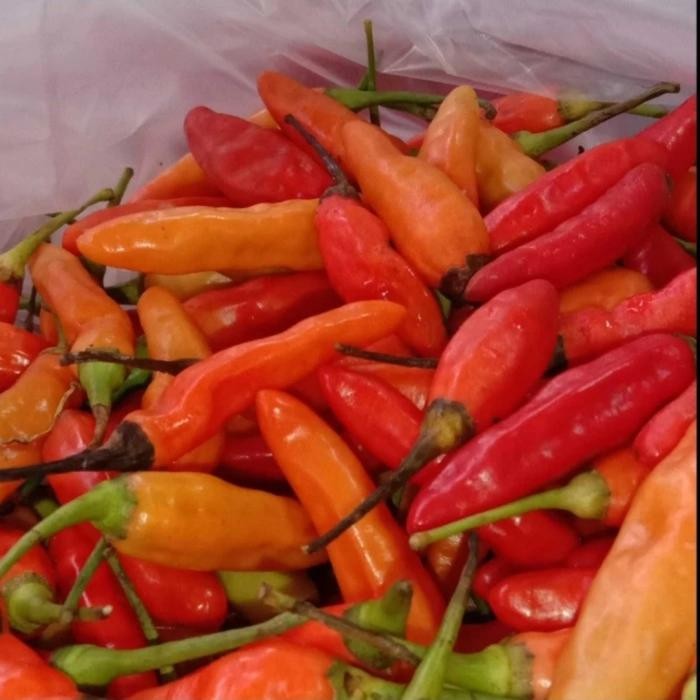 

LUXEHEALTH- Cabai Cabe Rawit Merah 500 Gram