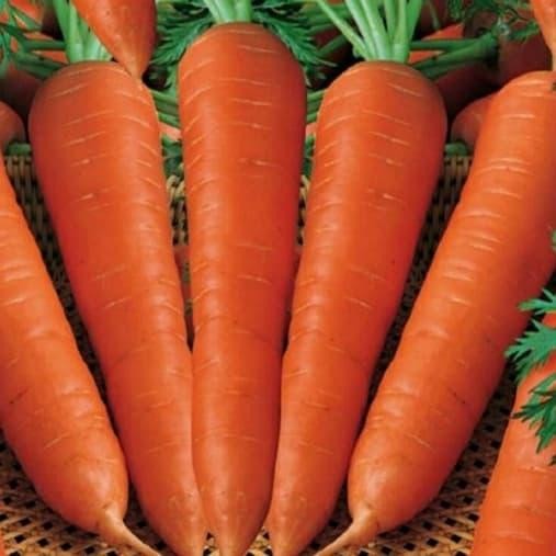 

LUXEHEALTH- Wortel Inport 1Kg