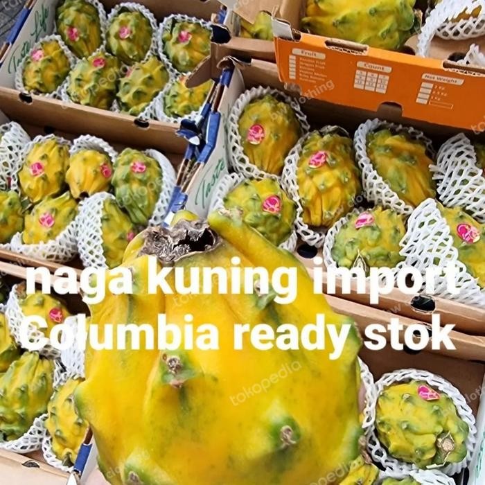 

Buah Naga kuning