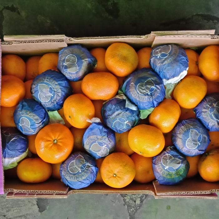 

Buah JERUK KUPAS MURCOT MANDARIN ARGENTINA IMPORT 9kg
