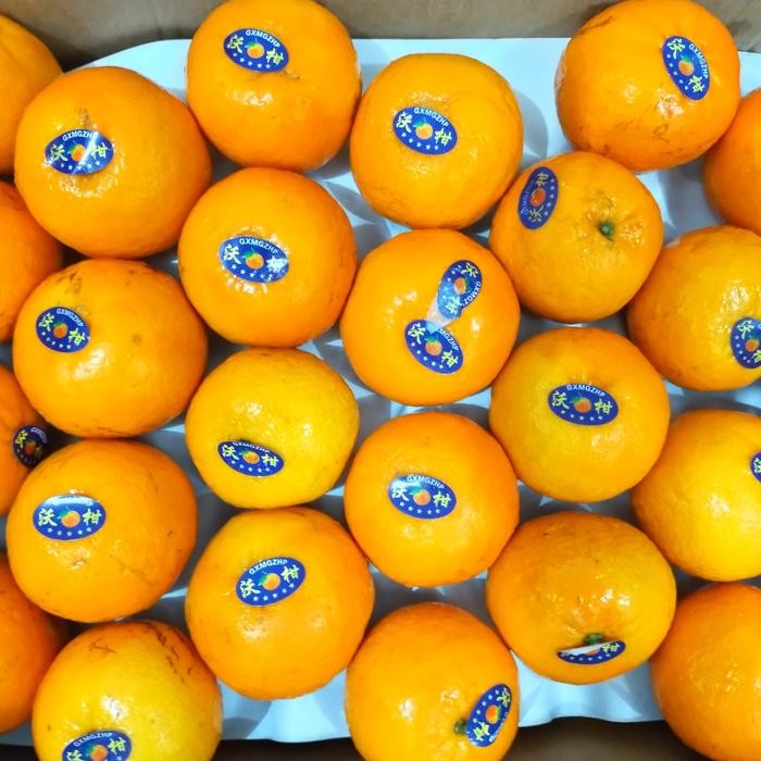 

JERUK WOKAM KEMASAN 5KG