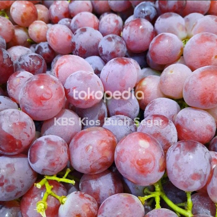 

anggur merah manis segar 1kg
