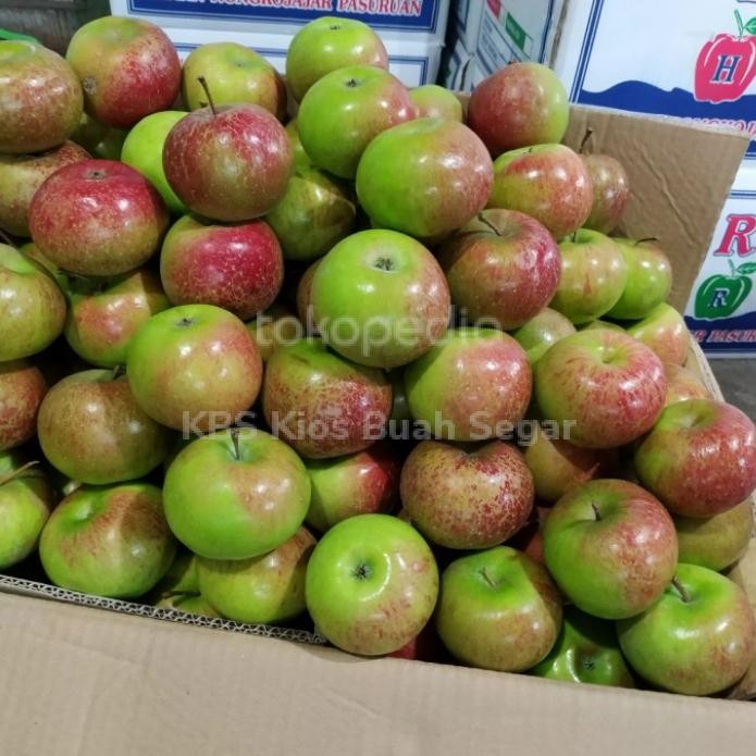 

apel malang 1kg