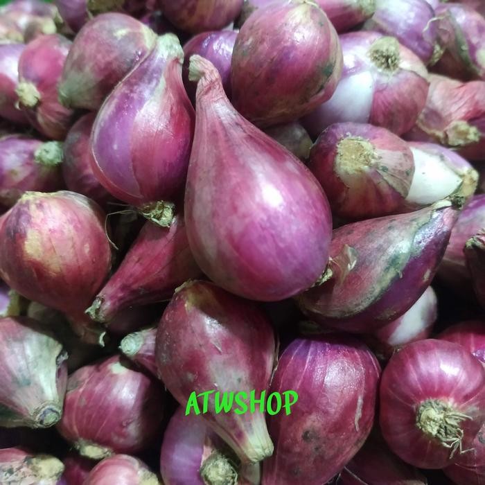 

Pilihan- Bawang Merah Brebes (Super),Kualitas Pilihan