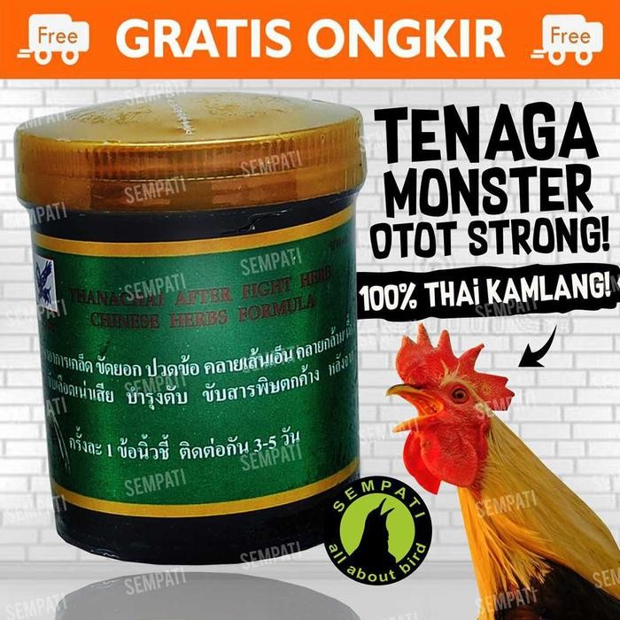 Obat Luka Dalam Kamlang Basah Ayam Jago Tarung Bangkok Kamlang Basah