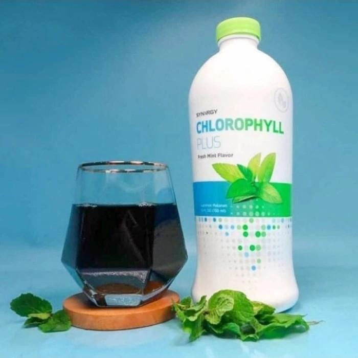 SYNERGY CHLOROPHYLL PLUS FRESH MINT 730 ML ASLI DENPASAR BALI