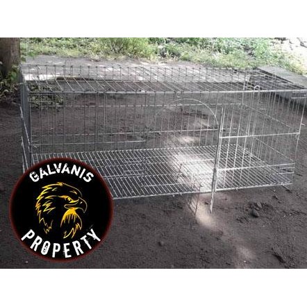 kandang ayam galvanis 3 pintu p120L50T50cm / kandang ayam jago/hewan