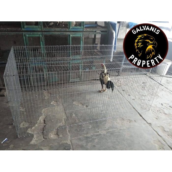 kurungan besi tenggaran ayam jago / bangkok galvanis bisa custom