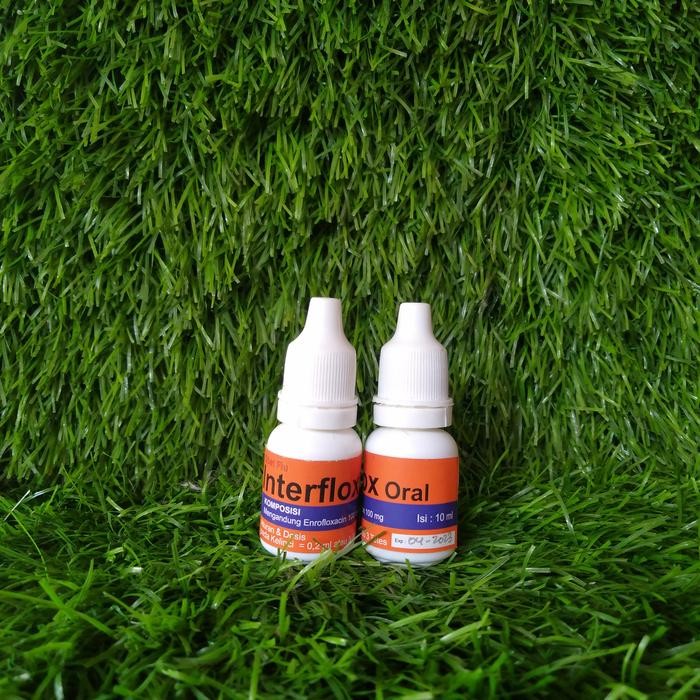 Khusus Gosend Interflox Oral Obat Flu Untuk Kelinci