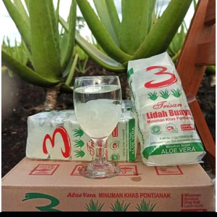 

Pilihan- Lidah Buaya Rasa Leci Minuman Khas Pontianak Aloe Vera