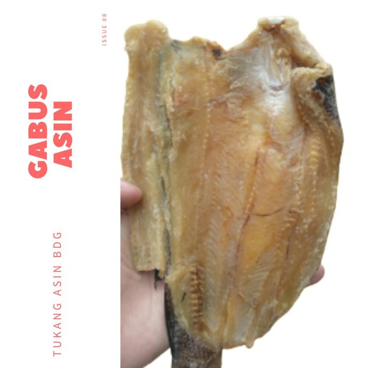 

Ikan Asin Gabus Grade A