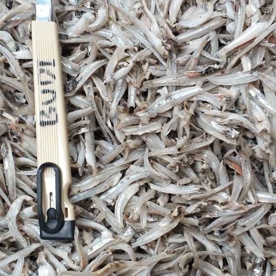 

Ikan Asin Teri Jengki Belah Per 500Gr