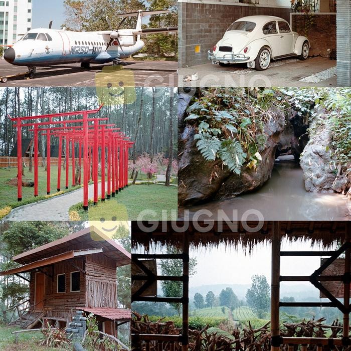 Fujifilm 200 Fuji 200 fujicolor 200 - roll film 35mm ( not c200 )