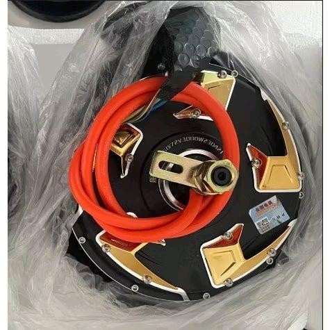 BLDC Motor Listrik QS 10 In 2000 - 5000 Watt