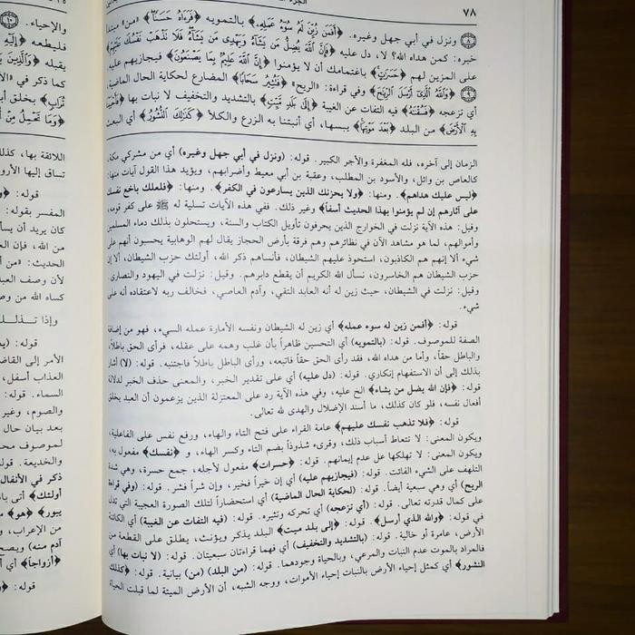 HASYIAH SHOWI TERBITAN DAR IHYA TUROTS AROBI