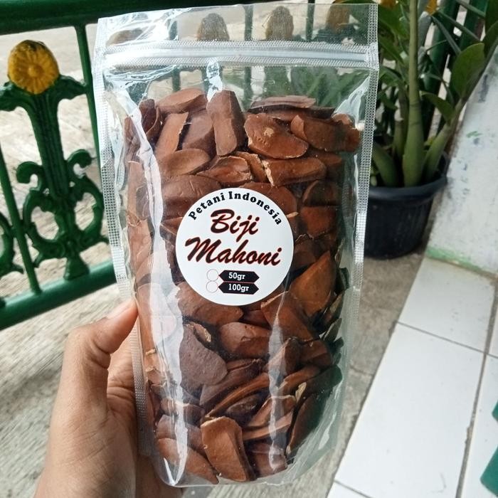 

PREMIUM Bisa COD - Biji Buah Mahoni Kering 100g 100% Asli dan Alami