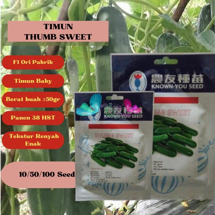 [Sp] Benih Timun Thumb Sweet Repack 10 & 50 Biji Kys Ori