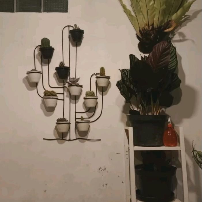 Terlaris- Rak Pot Kaktus Tempel Dinding / Rak Kaktus Dinding / Rak Bunga Kaktus