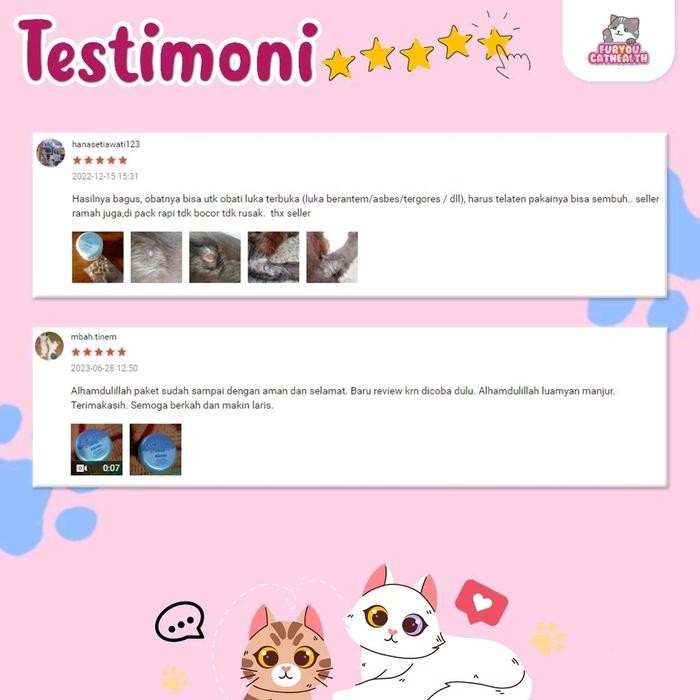 FUR YOU SALEP ABSES MENYEMBUHKAN LUKA KUCING ABSES NANAH FUR YOU ABSES FUR YOU LUKA