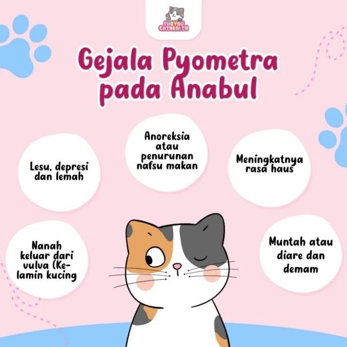KAPSUL ANTIBIOTIK PYOMETRA KUCING