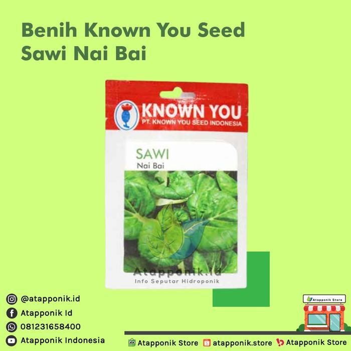 Benih Sawi Nai Bai Seed