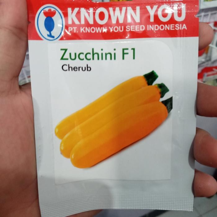 Benih Zucchini Cherub Kuning F1