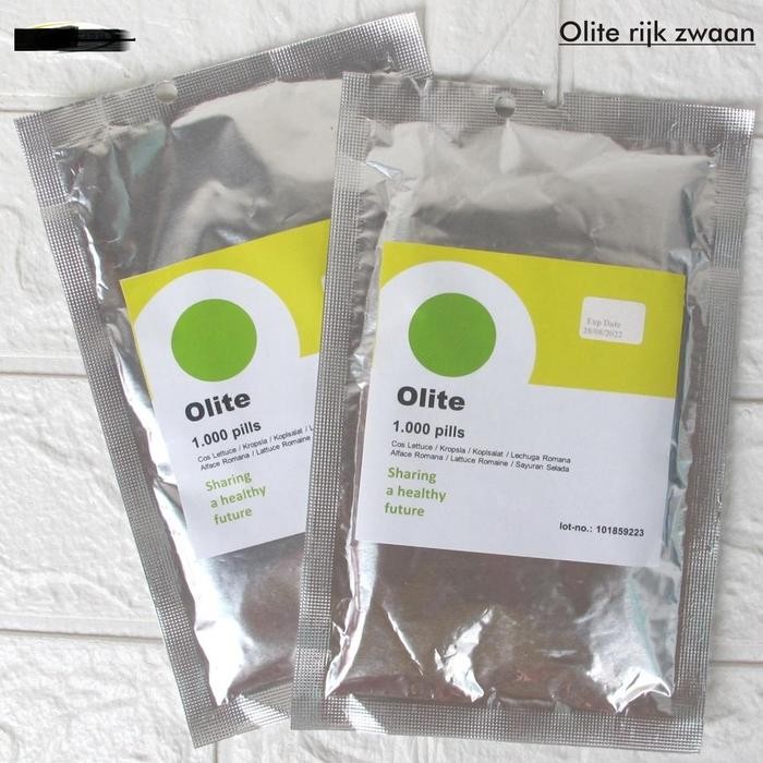 Terlaris Benih Selada Olite Rz 1000 Pills Cos Lettuce Rijk Zwaan