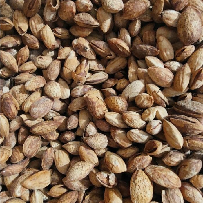 

Kacang Almond Cangkang 1Kg Rasa Butter Milk