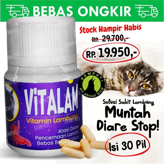 Vitalam vitamin lambung kucing obat lambung kucing sakit diare muntah