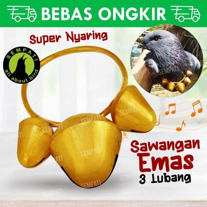 SAWANGAN MERPATI DARA KALUNG KUNINGAN HATONG HOTANG PLUIT 3 LUBANG 3KL