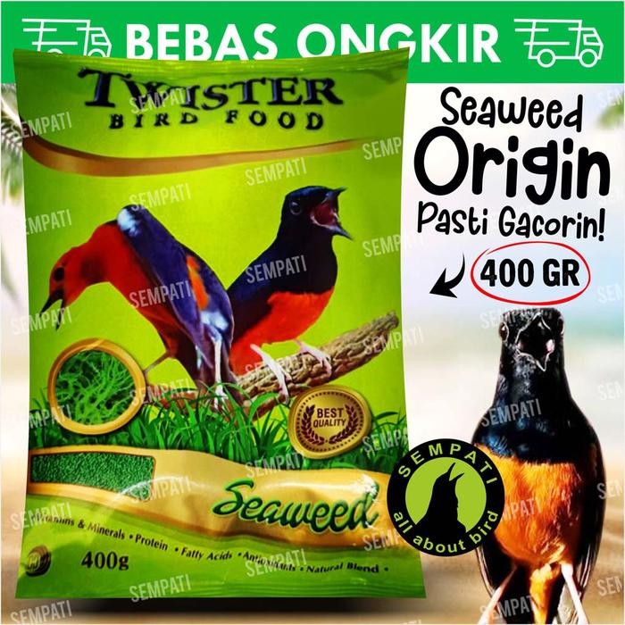 TWISTER SEAWEED RUMPUT LAUT VOER PUR PAKAN BURUNG MURAI KACER TWSRL