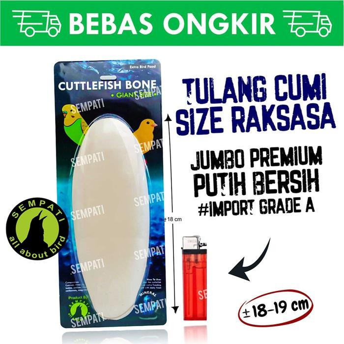 CUTTLEFISH BONE TULANG SOTONG CANGKANG ASINAN CUMI SUPER JUMBO PREMIUM