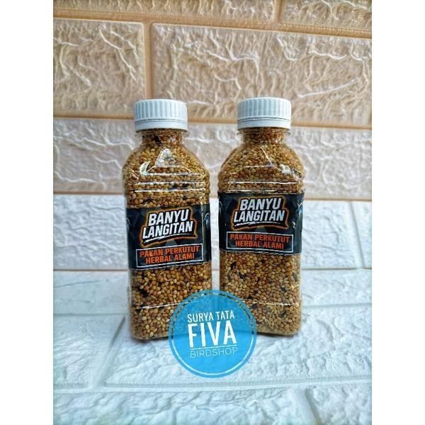 (Expert) Pakan perkutut banyu langitan pakan perkutut lomba dan harian