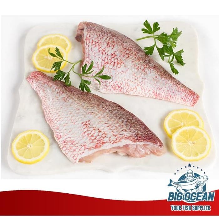 

Fillet Ikan Kakap MerahRed Snapper Premium @1kg