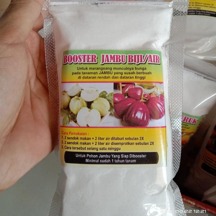 Booster Buah Jambu Air Pupuk Jambu Air