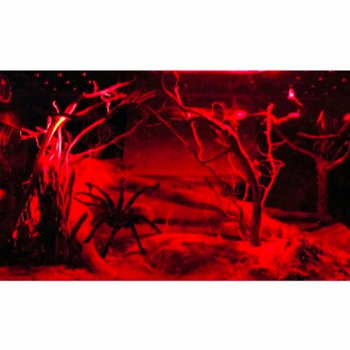 Exoterra Infrared Basking Spot/Lampu pemanas infrared Exoterra