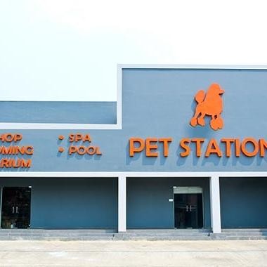 Sisir Bulu Gimbal Sisir Anjing / Kucing Sisir Khusus Gimbal