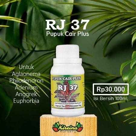 Terlaris Pupuk Cair Plus RJ 37 - Aglaonema, Philodendron, Anggrek, Adenium dll SALE