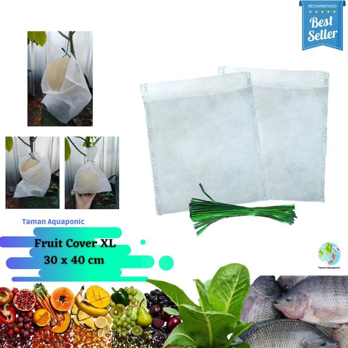 NEW.. FRUIT COVER/PEMBUNGKUS BUAH XL 25 PCS