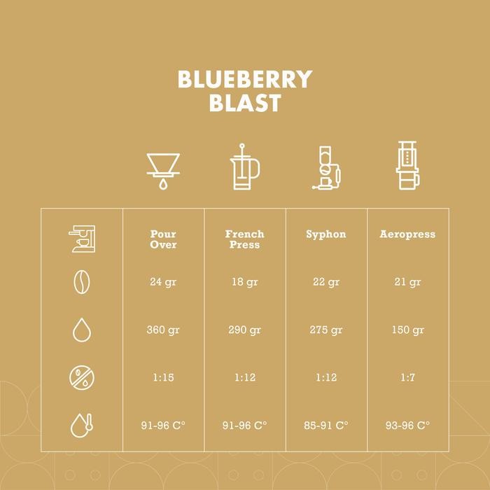 

THE COLD CRAFTERS BLUEBERRY BLAST ARABICA COFFEE BIJI KOPI
